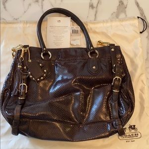 Coach Sierra Embossed Leather Python Chocolate